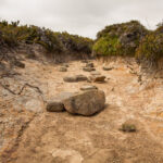 Granite boulders enhance the thermal properties of a drought-resistant garden