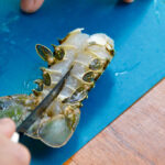 Rock lobster prepared for cooking, showcasing the butterflied tail and cleaned meat