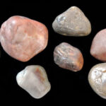 gastroliths