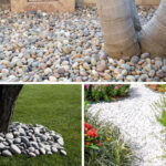 Rock landscaping with green plants and gravel paths