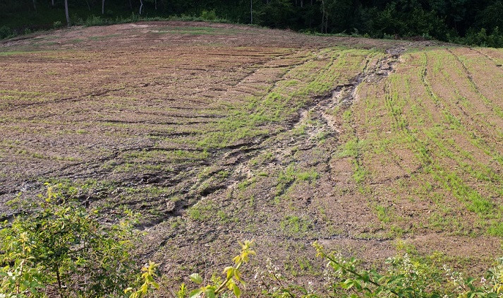 field