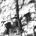 Ordovician Lexington Limestone outcrop rich in fossil shells, horizontally layered, with dark stains and drill holes from dynamite charges