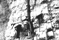 Ordovician Lexington Limestone outcrop rich in fossil shells, horizontally layered, with dark stains and drill holes from dynamite charges