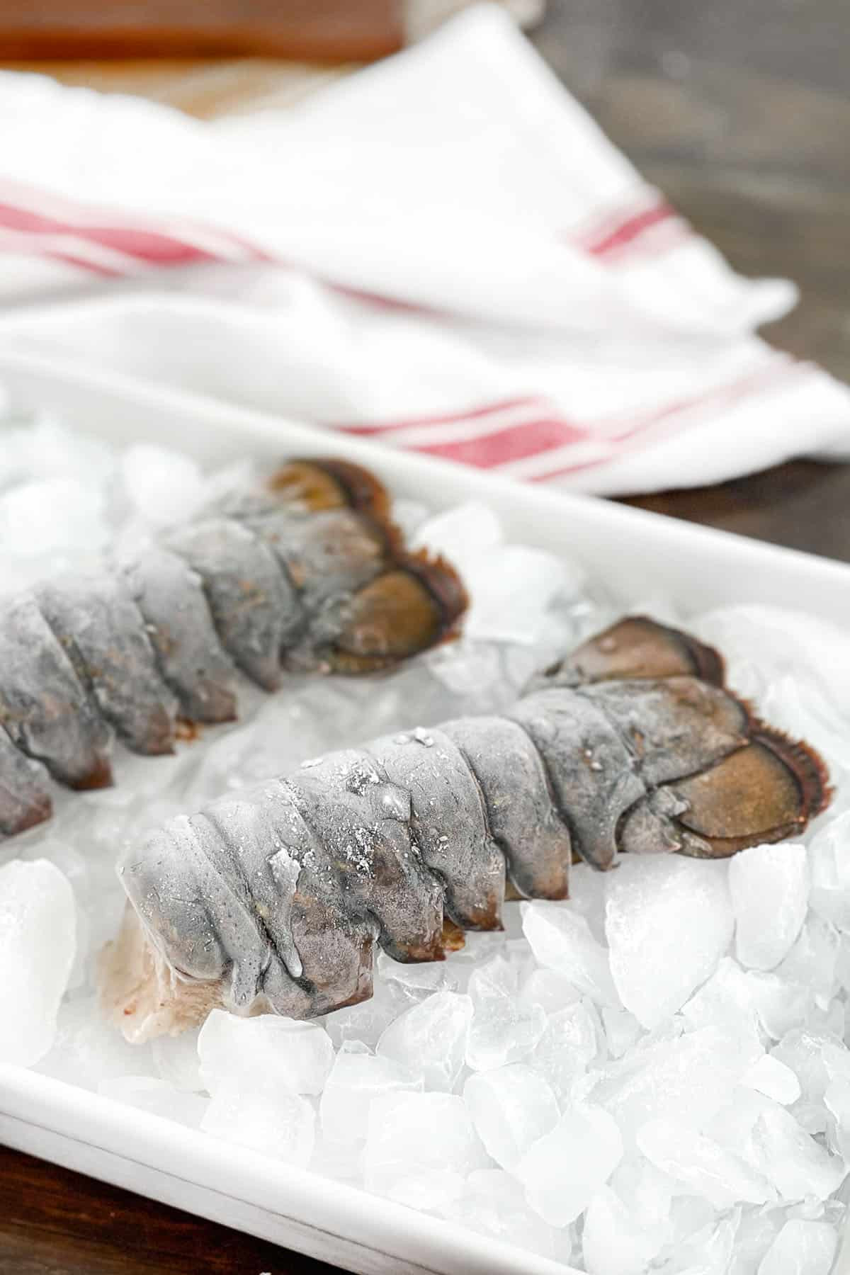 Frozen rock lobster tails for sale