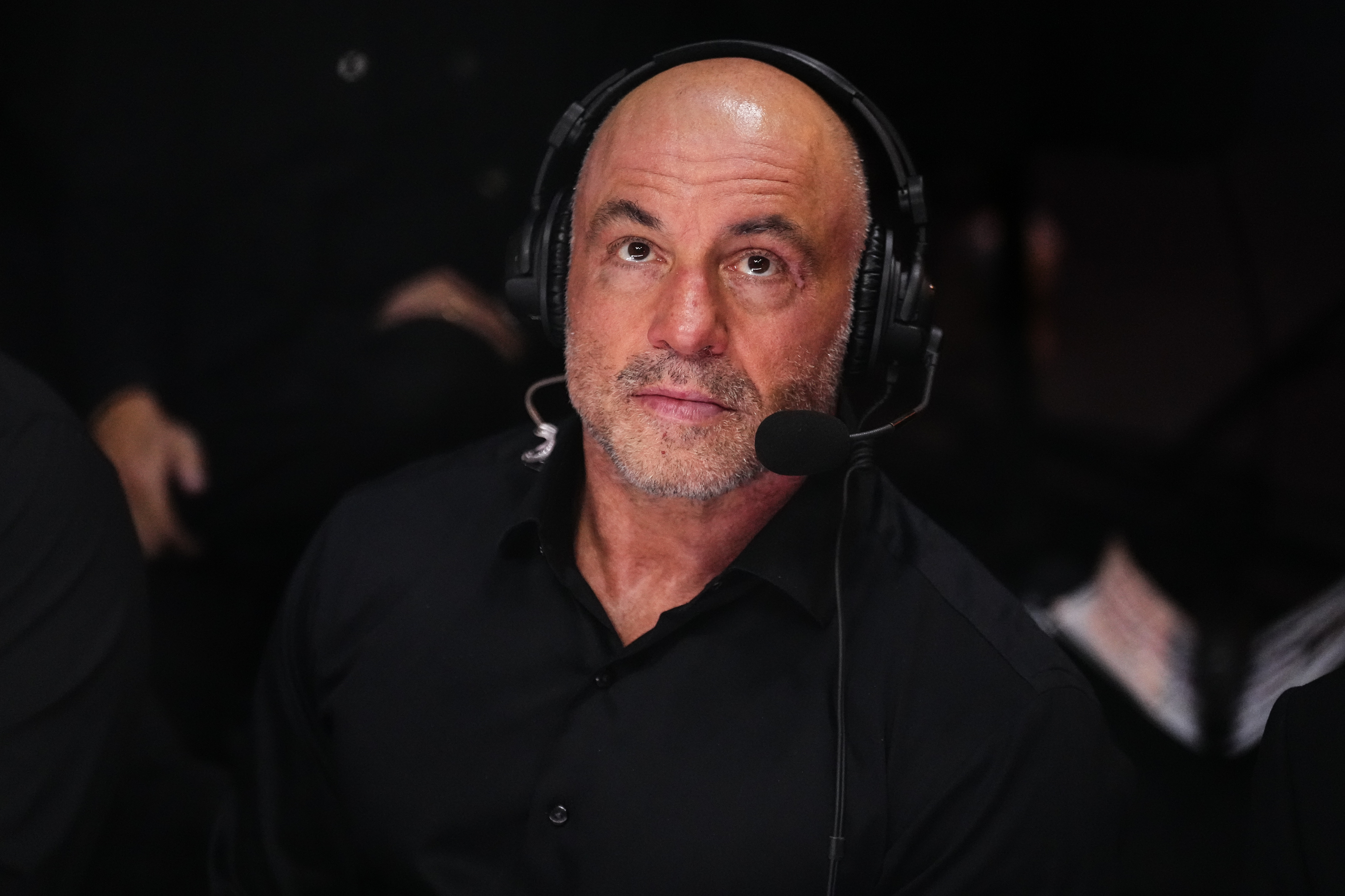 Joe Rogan endorsing Trump
