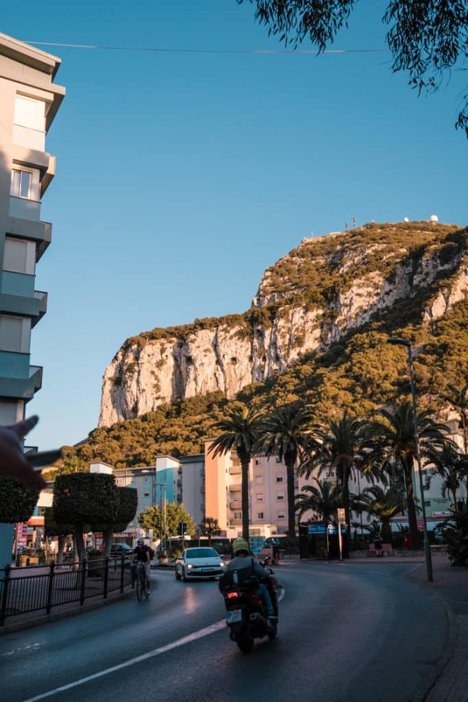 A close-up of the Barbary Macaques, the famous residents of the Rock of Gibraltar, showcasing their adaptability to the environment and their interaction with tourists