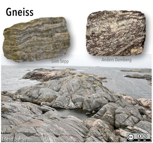 Gneiss hand sample showing color bands