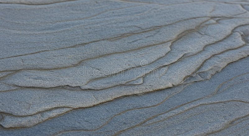 Sandstone rock surface showcasing sedimentary layers and grains