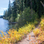 Hikers on Phelps Lake Trail in Grand Teton National Park