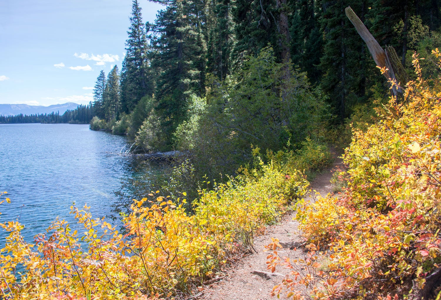 Hikers on Phelps Lake Trail in Grand Teton National Park