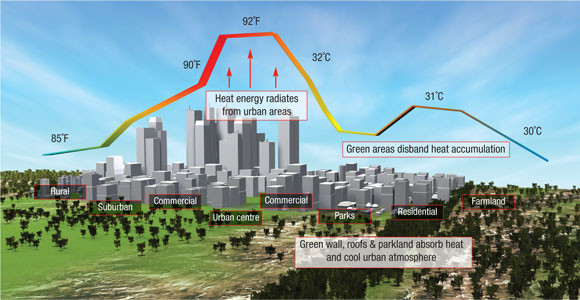 Illustration of the heat island effect