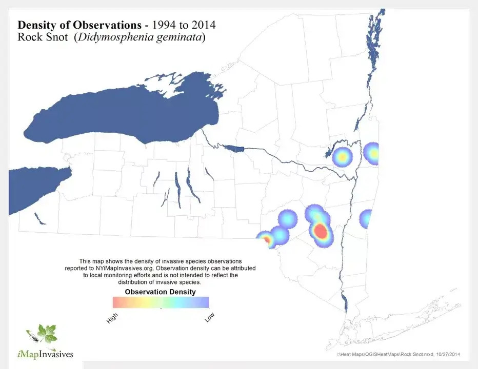 Map showing the density of where Rock Snot has been found