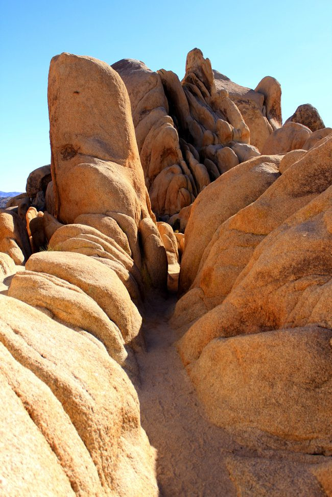 hiking-in-Joshua-Tree