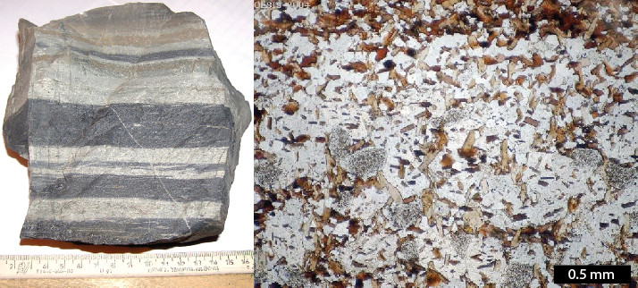 Hornfels from the Novosibirsk region of Russia from a sedimentary protolith