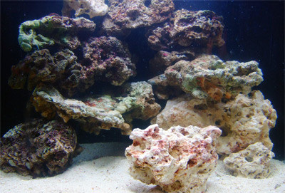 Wet and dry rock used in combination
