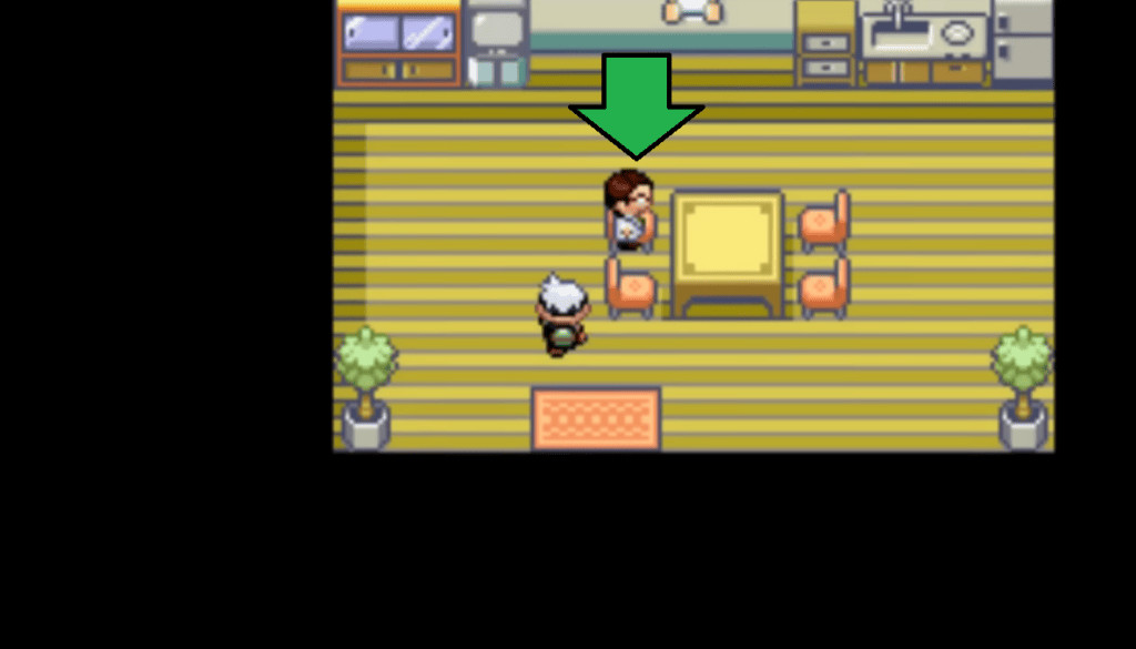Pokemon emerald npc