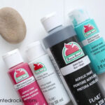 Supplies for painting a ladybug rock, including acrylic paints, paintbrushes, and smooth rocks