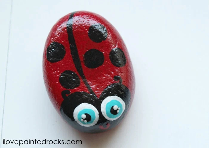 Glossy ladybug painted rock