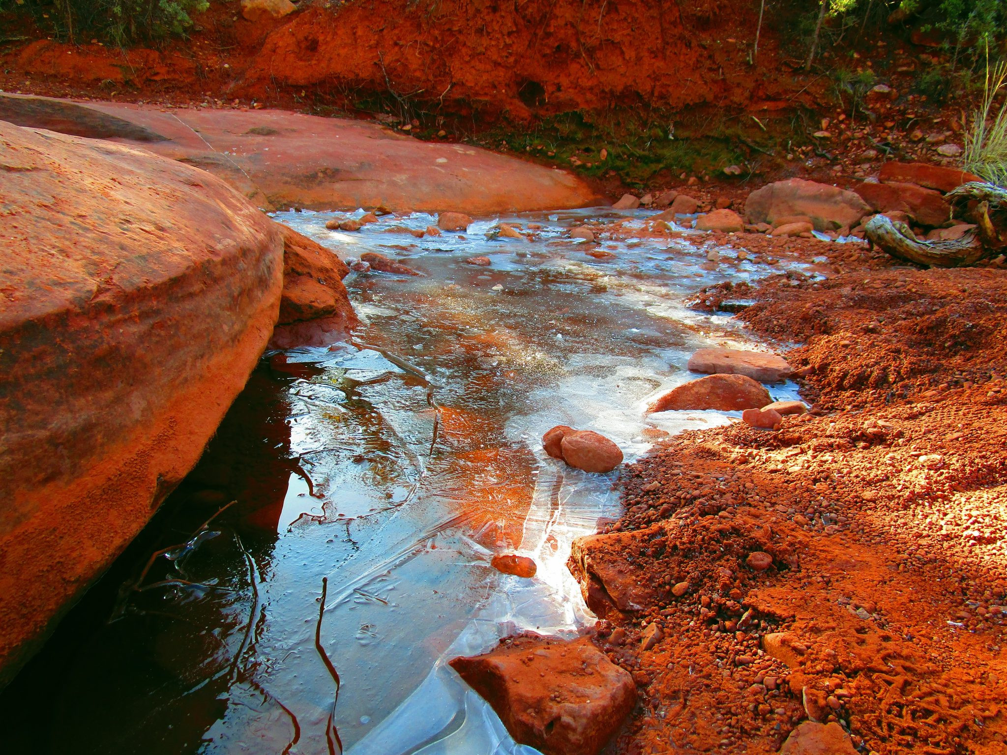 small puddle with ice layer over the top