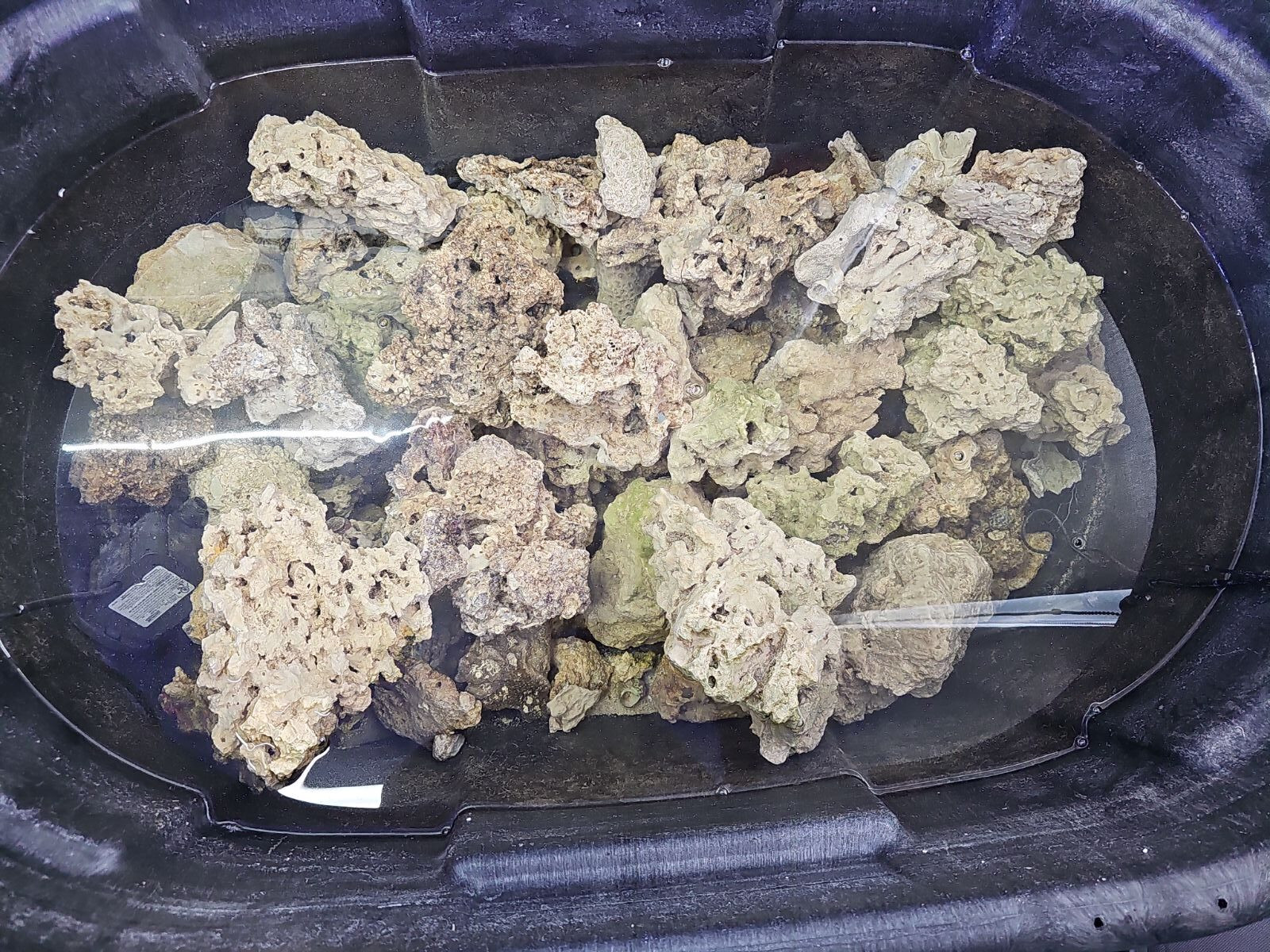 Dry rock in a vessel ready for curing