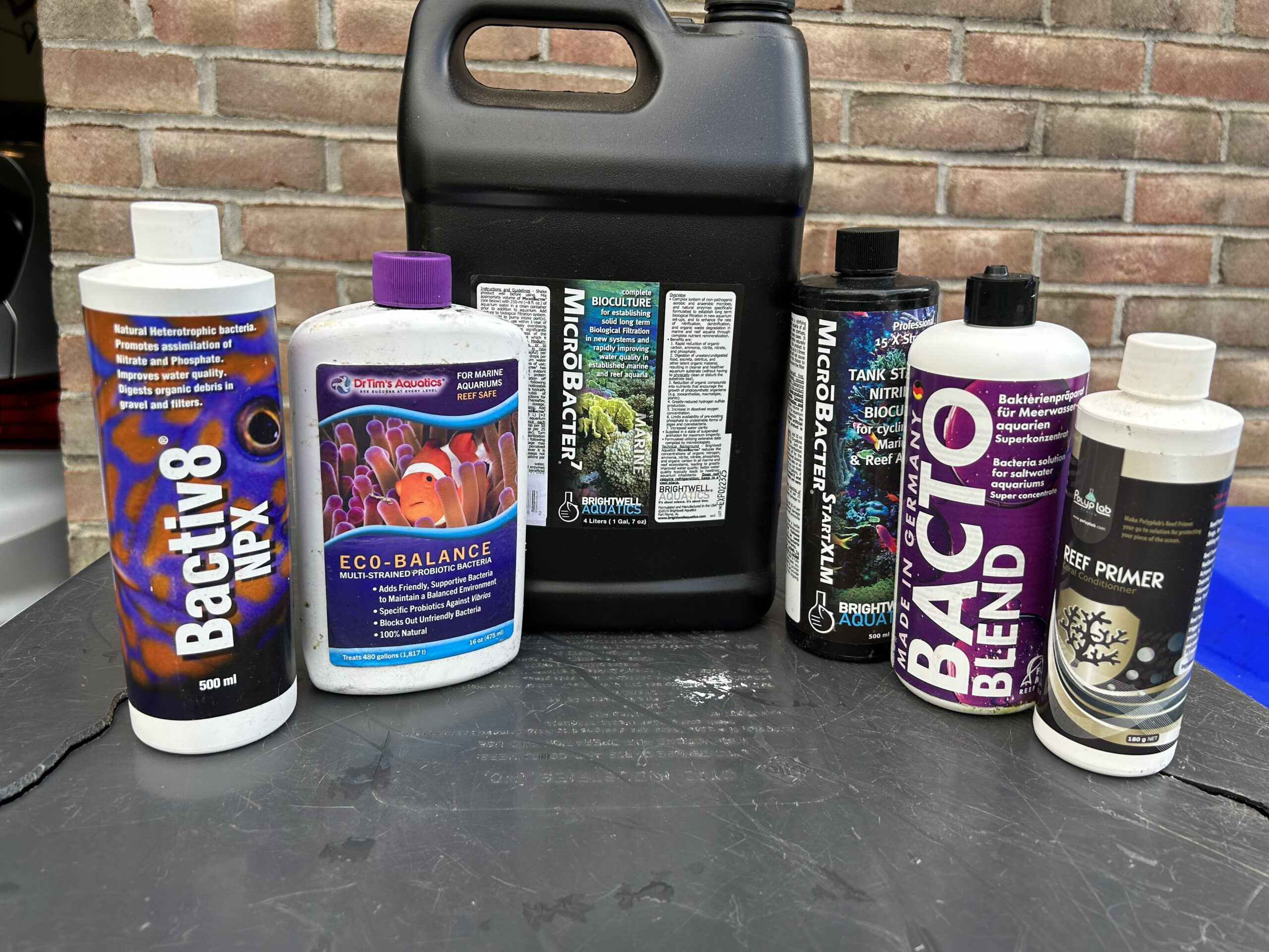 Bottled bacteria for cycling rock