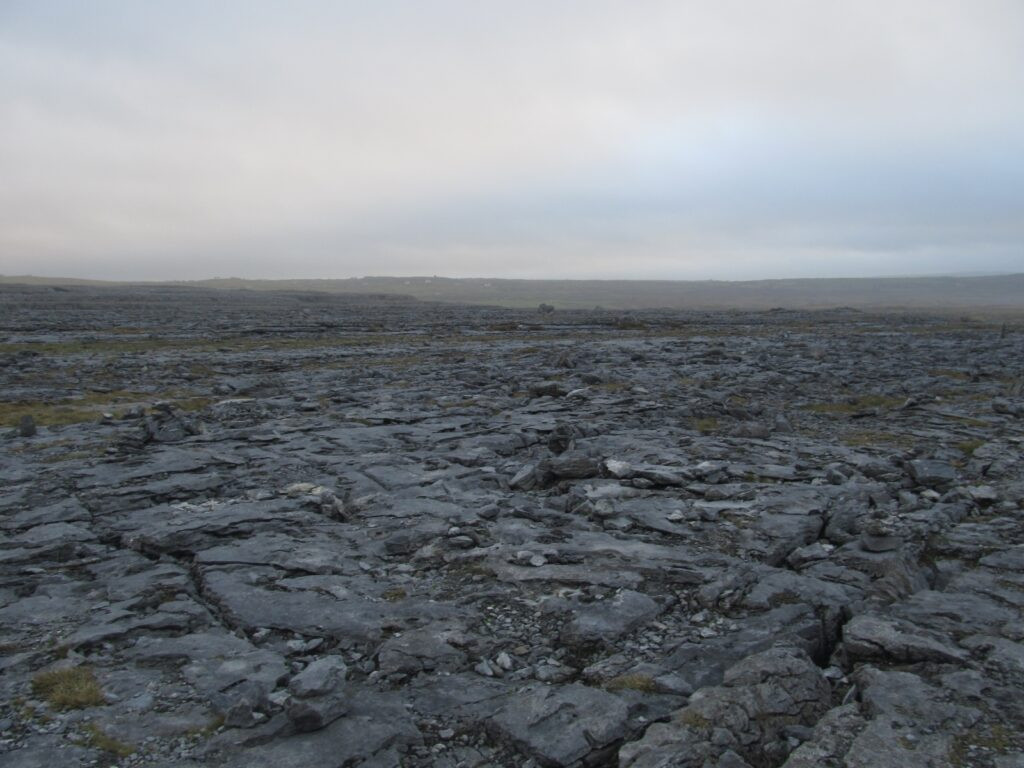 The Burren Karst