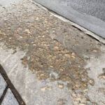 Brickform concrete sealer application