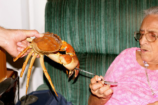 Freshly caught Red Rock Crabs at a seafood market