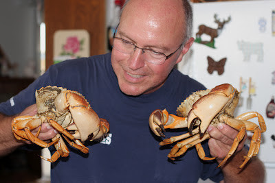 Red Rock Crab with vibrant red shell