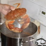 Boiling red rock crab with spices