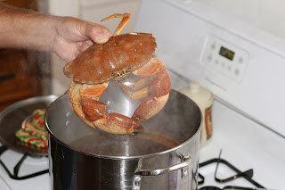 Boiling red rock crab with spices
