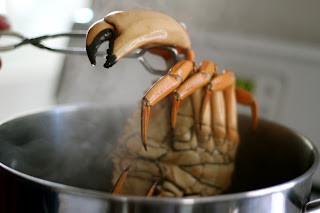 Boiled Red Rock Crabs with orange-red shell