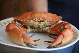 Red Rock Crabs cooling under cold water after boiling