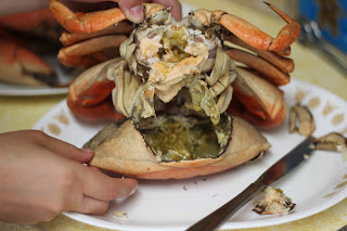 Removing the apron from a red rock crab