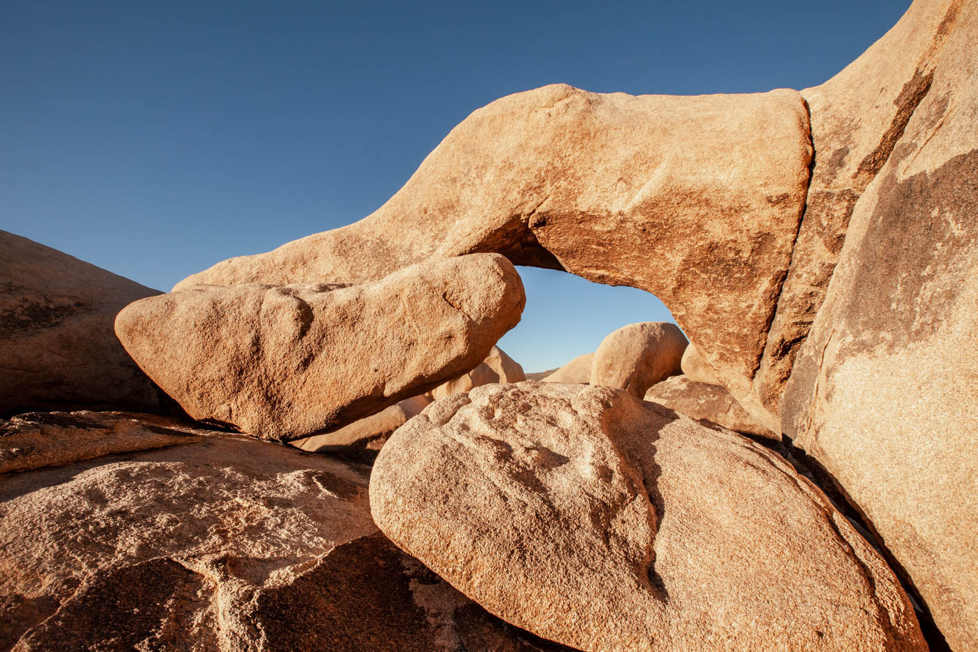 The back side of Arch Rock with desert vegetation