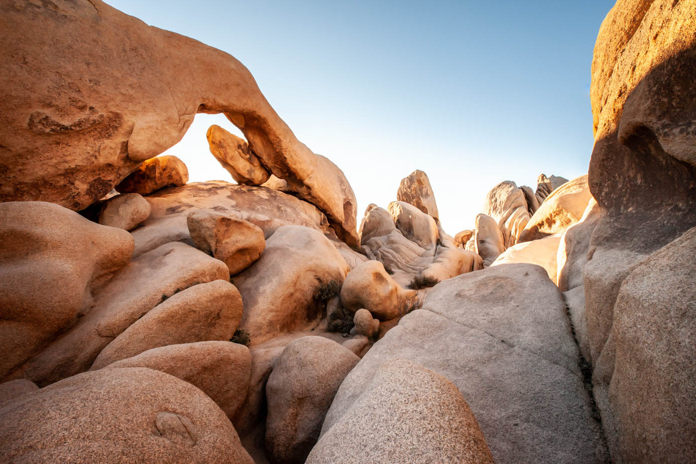 Arch Rock at Joshua Tree National Park with a clear blue sky