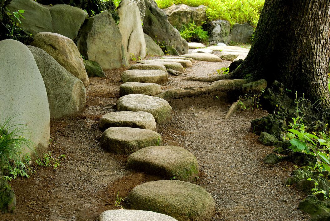 Natural Rock Stepping Stones Creating a Pathway Through Lovely Garden 