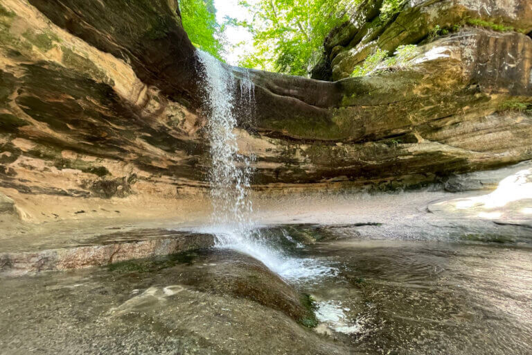 LaSalle Canyon at Starved Rock, a scenic view highlighting the canyon's rock formations and lush greenery