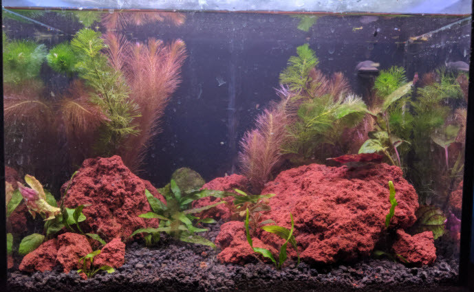 lava rock in the aquarium