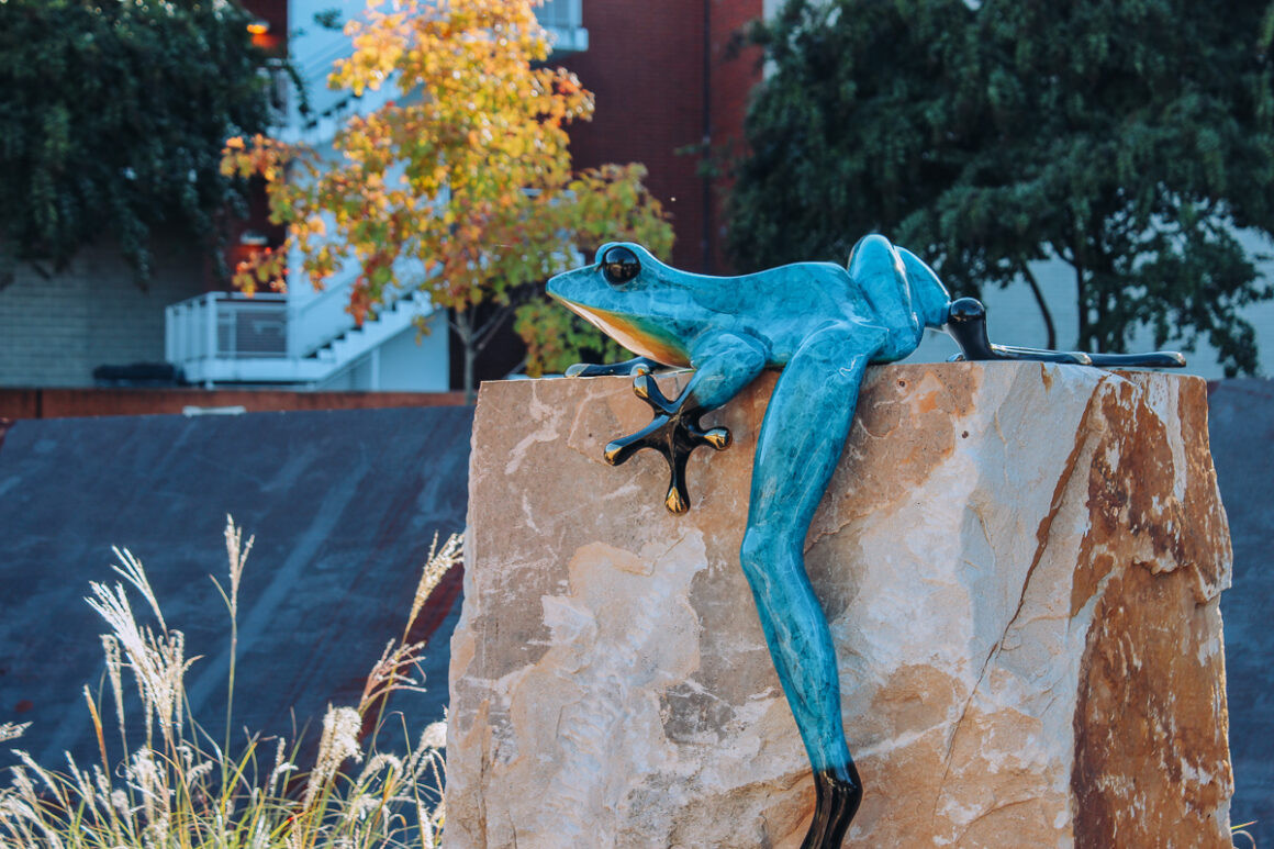Frog sculpture in Little Rock, showcasing the garden's whimsical art