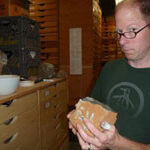 Geologist examines rock formation