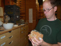 Geologist examines rock formation