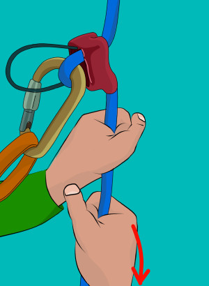 Proper belaying technique is essential for safely lowering a climber on top rope