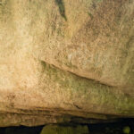 Sandstone rock ideal for medium-height accents in landscaping projects, offering a warm and natural aesthetic