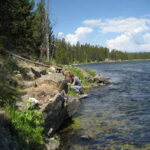 Geologist samples a basaltic lava flow along the Madison River, for 40Ar/39Ar geochronology