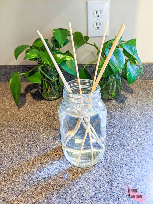 Skewers soaking in the mason jar of water