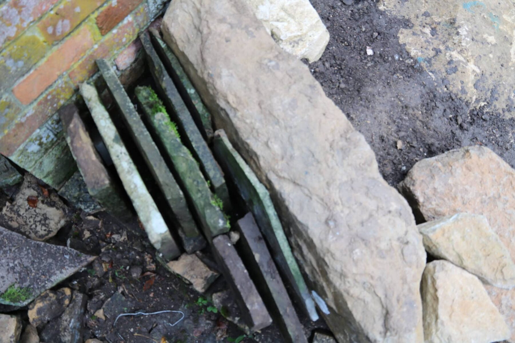 Rock garden crevice with plants