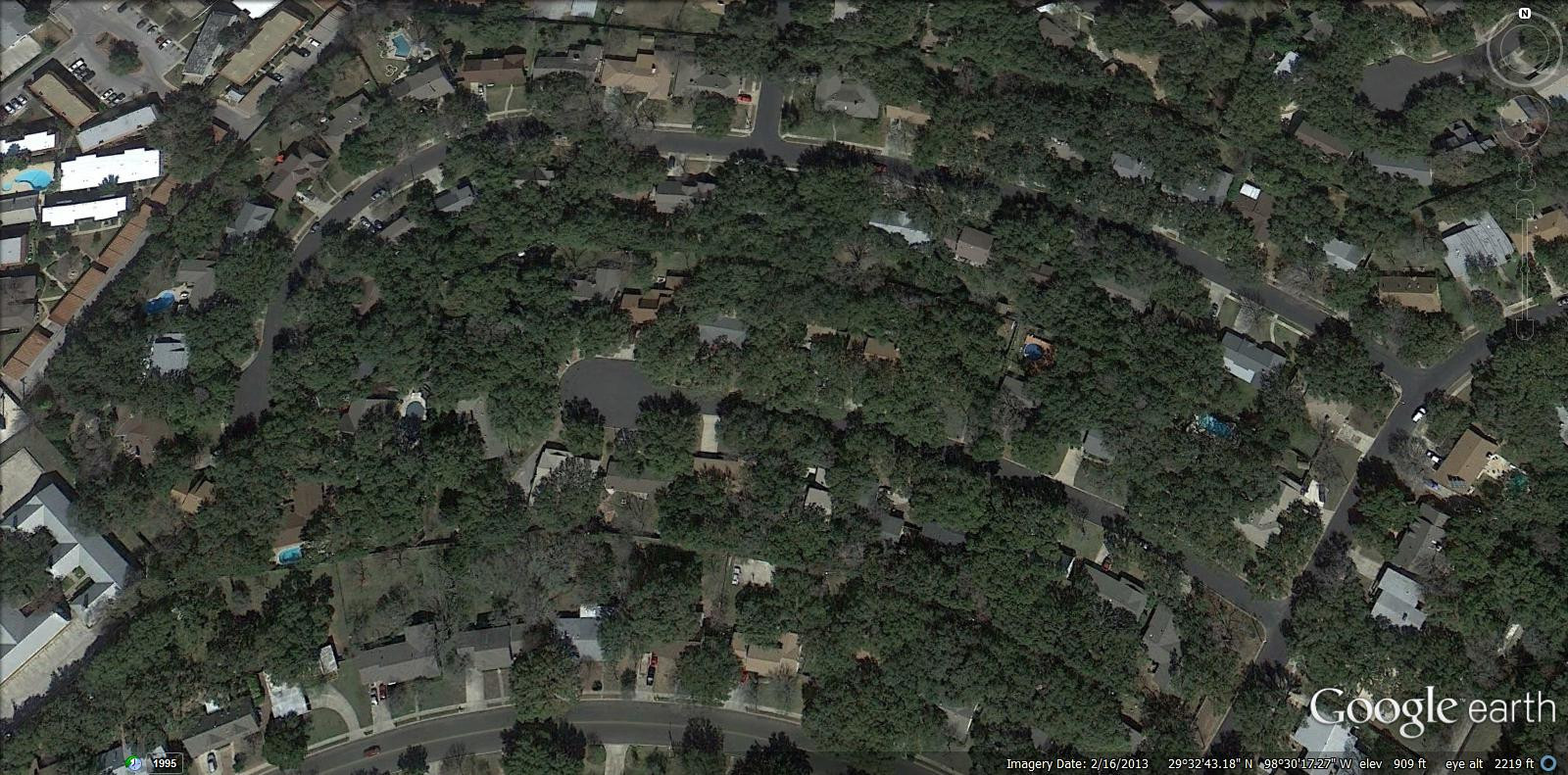 Example of a maturetree offering good shade