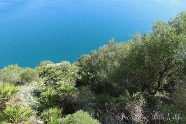 The steep, zig-zagging steps of the Mediterranean Steps trail.