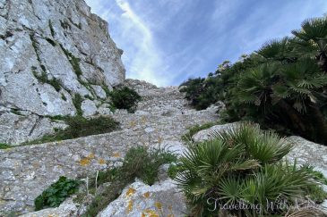 Proper footwear is essential for hiking the uneven terrain of the Rock of Gibraltar.